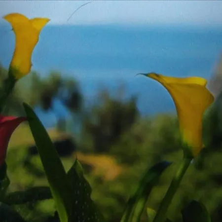La Cinque Terre Monterosso 招待所