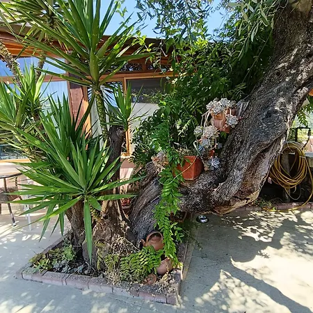 La Cinque Terre Monterosso Guest house