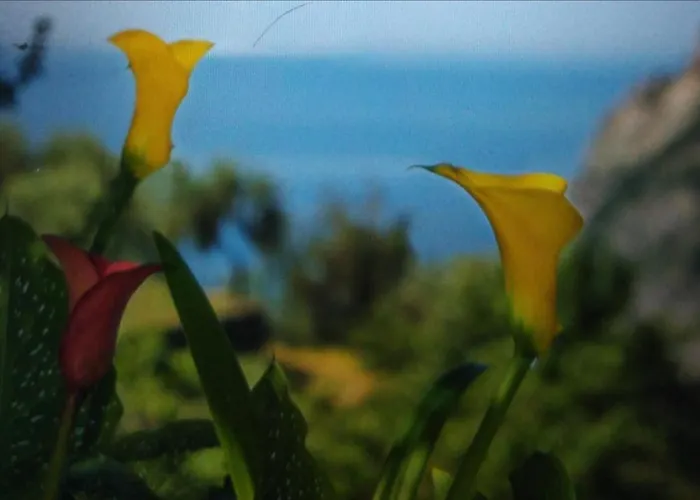 La Cinque Terre Monterosso Guest house